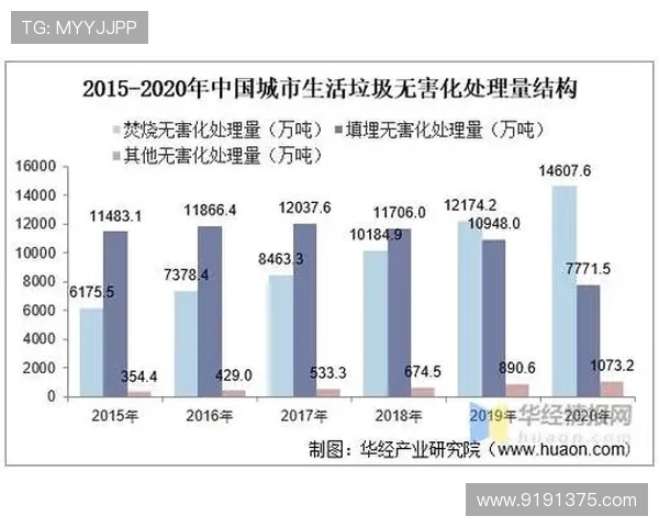 南京排球队实力分析与未来发展潜力的深入探讨
