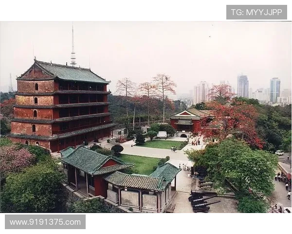 广州排球队的奋斗历程与荣耀时刻全景回顾